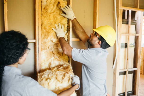 Insulation Repair Services in Tara Hills, CA
